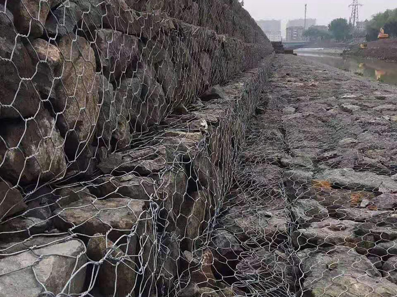 浙江格賓網(wǎng)今日最新價格15年7月26日