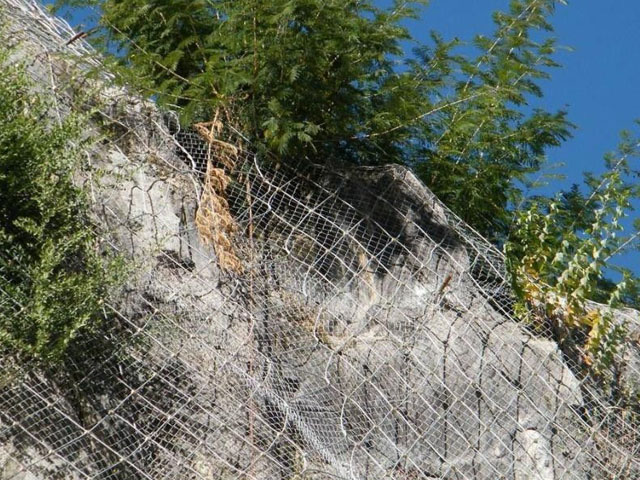 主動(dòng)邊坡防護(hù)網(wǎng)