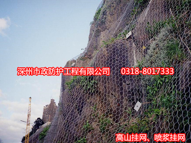 落石防護(hù)網(wǎng)